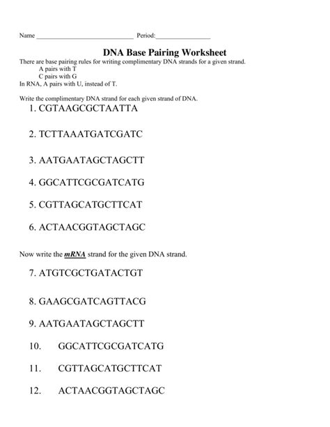 dna rna base pairing worksheet answers